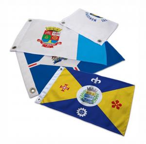 Bandeira Oficial dos Municípios Brasileiros      